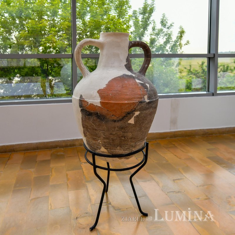 Actul de naștere al poporului român 146870