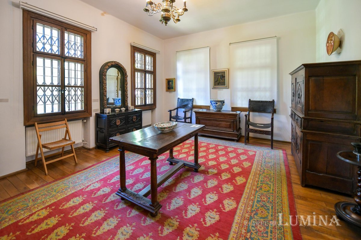 O insulă fermecătoare din Bucureștiul de altădată 148327