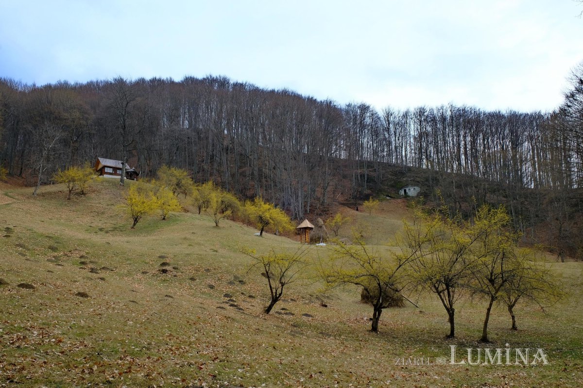 Sfântul Antonie de la Iezer, trei veacuri de continuă prezență 148773