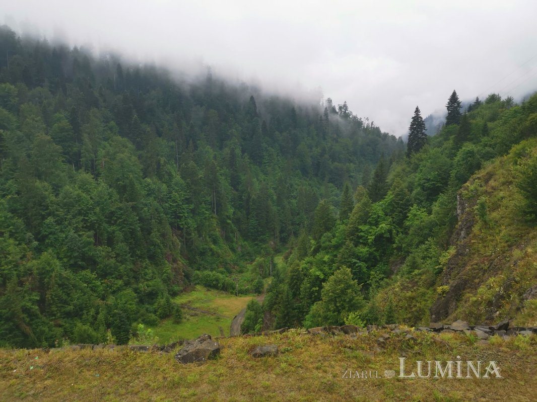 O zi în Ținutul Bârgaielor 150261