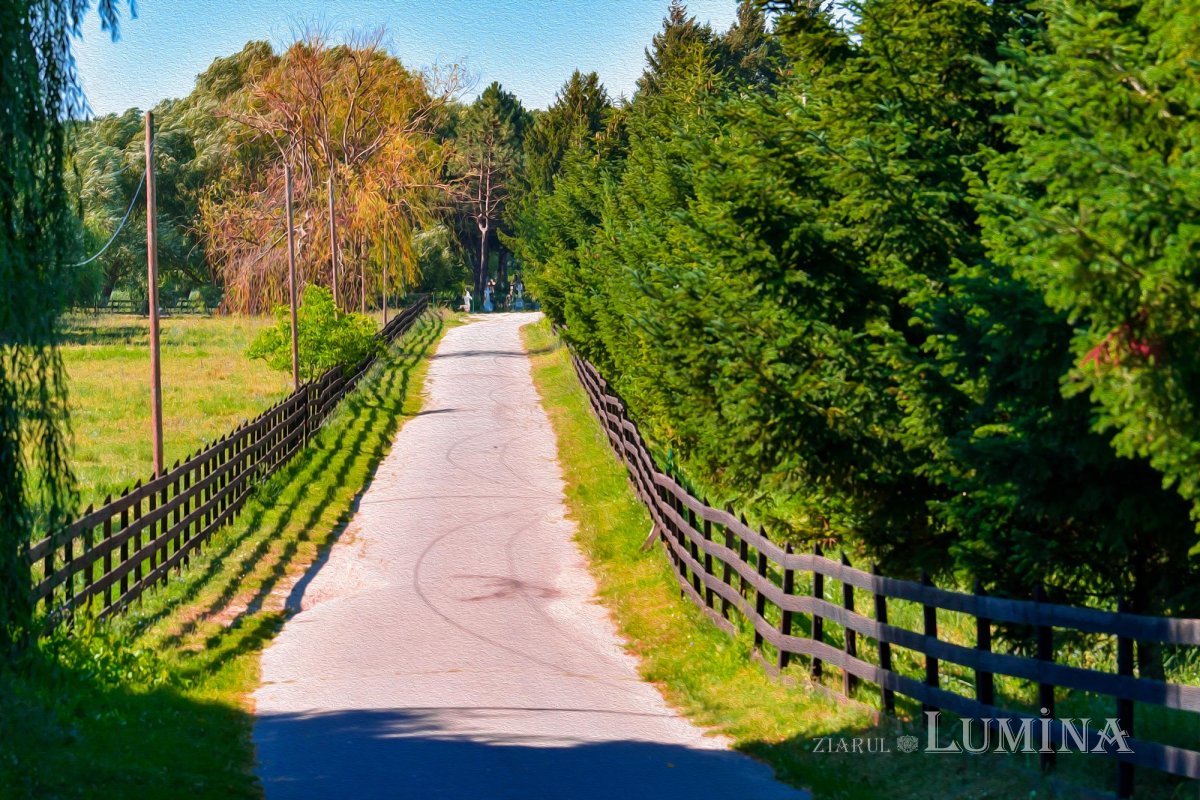 Reactivarea hramului isihast al Mănăstirii Cernica 150410