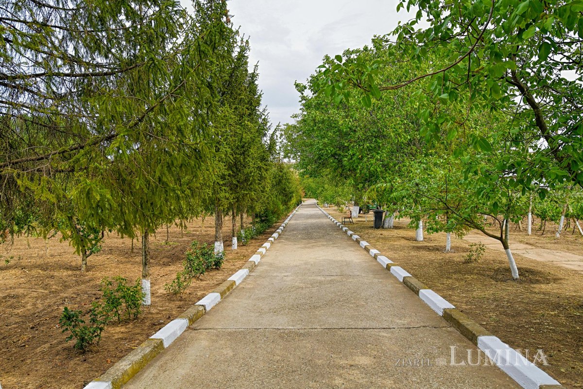 La ceas de sărbătoare 152096