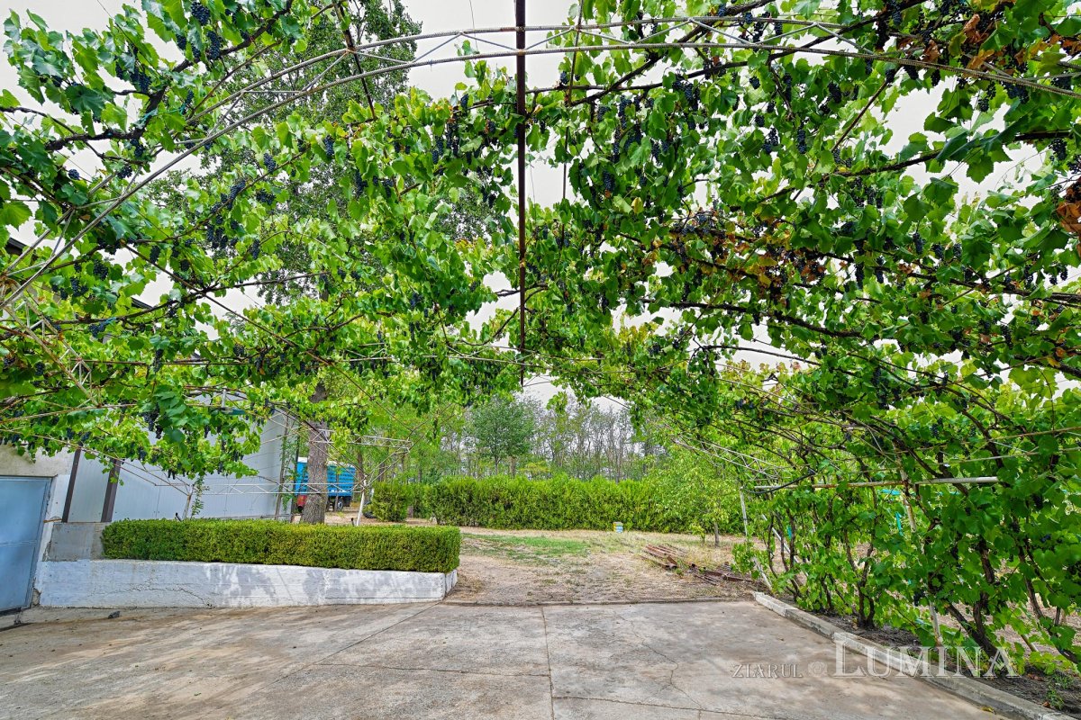 La ceas de sărbătoare 152098