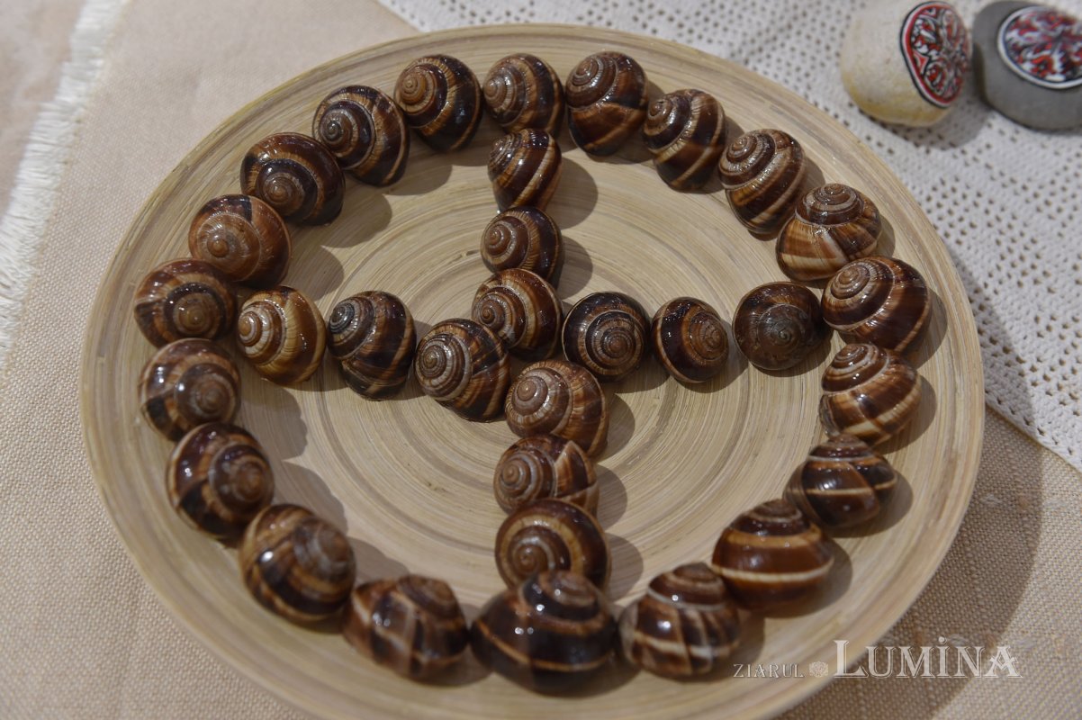 Vernisajul expoziției „Închinare Sfintei Cruci” la Muzeul Mănăstirii Antim  153495