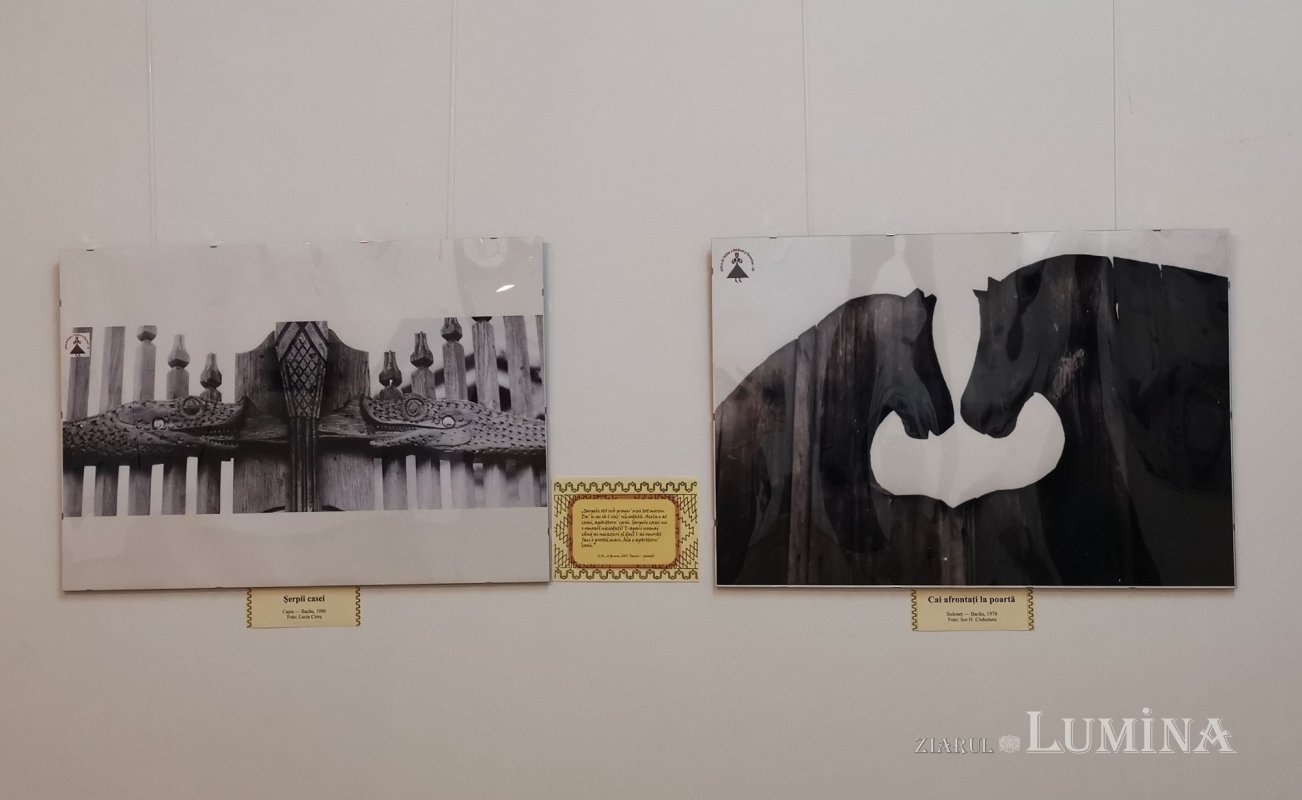 „Trecerile” românilor din cultura tradițională la fenomenul migrației 154258