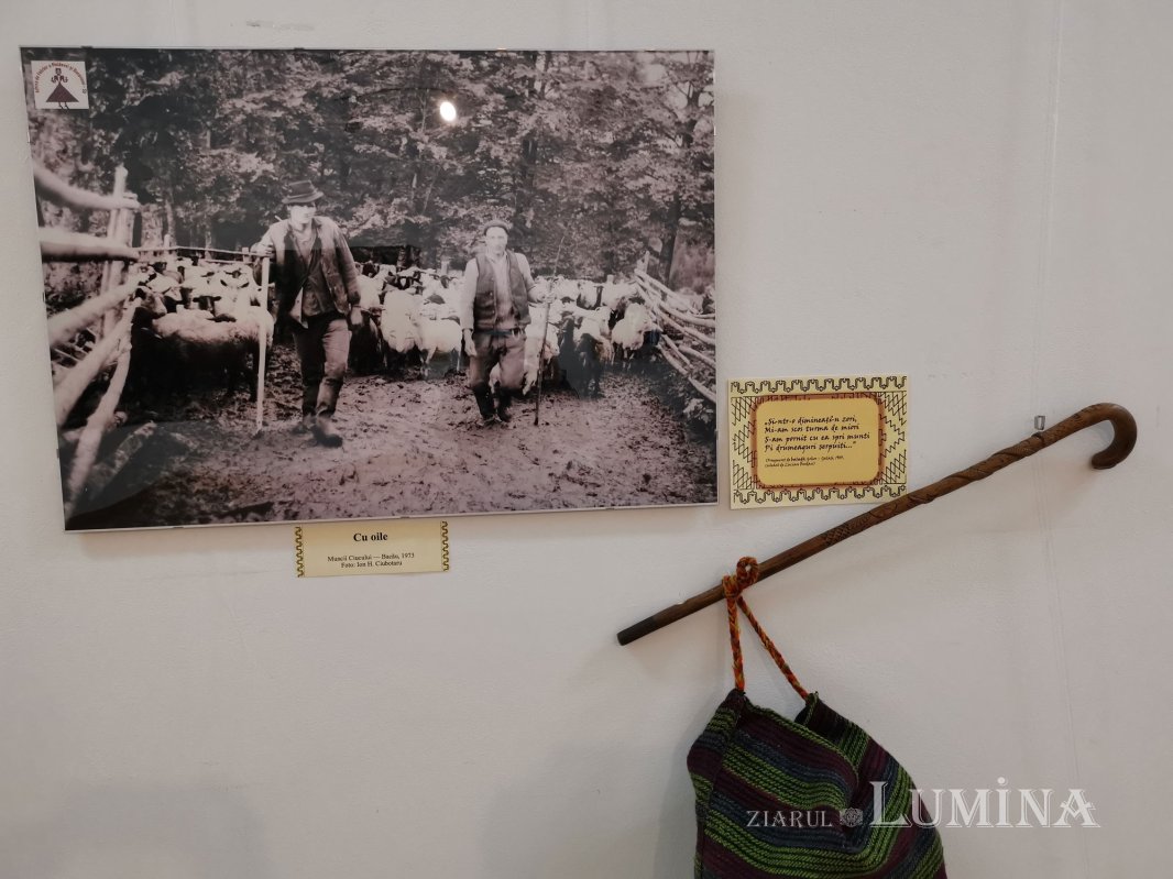 „Trecerile” românilor din cultura tradițională la fenomenul migrației 154265