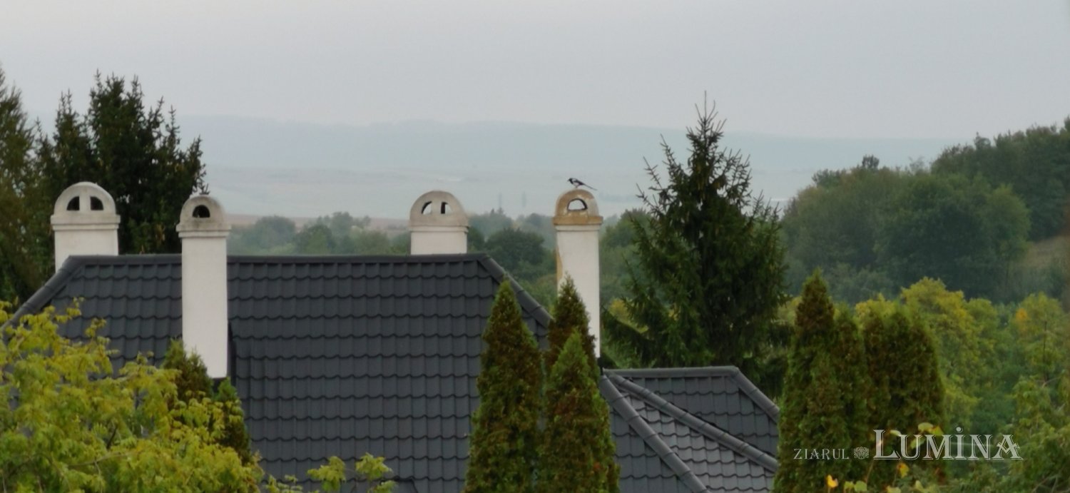 Probota, un loc al tainei și al minimalismului 156546