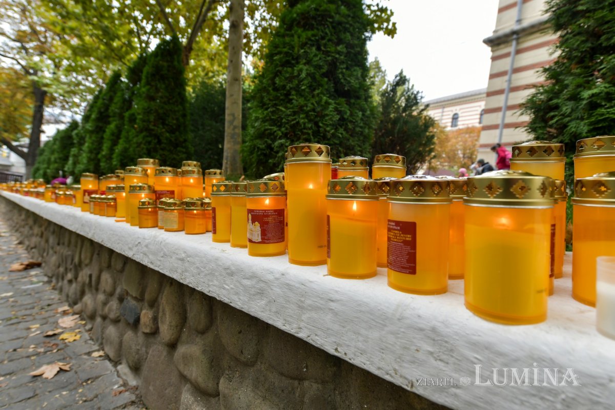 Prinos de laudă adus Sfântului Nectarie la Mănăstirea Radu Vodă 157007