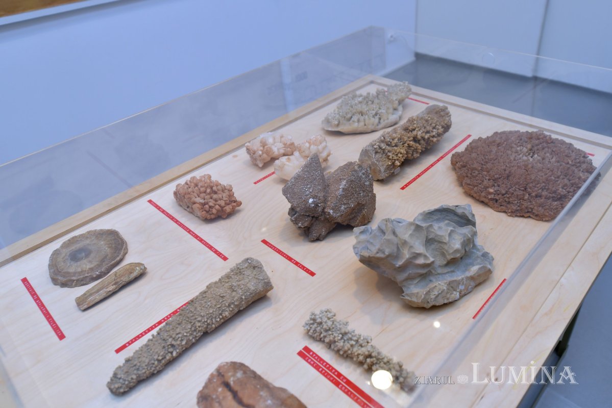 Turul lumii într-o clădire superbă 159865