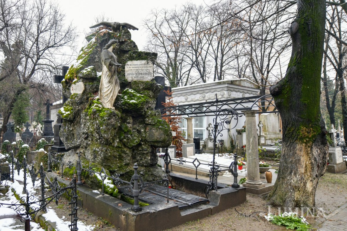 La mormântul lui Mihai Eminescu 161772