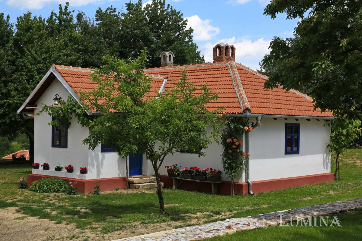 „Întinde-Ţi aripa Ta peste roaba Ta,  că îmi eşti rudă!” 162177