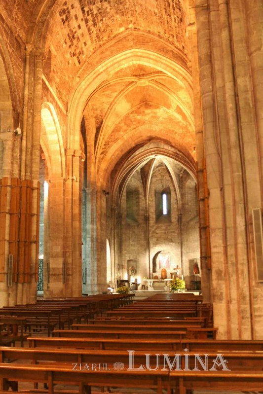 Sfântul Ioan Casian, ocrotitor al diasporei române 164771