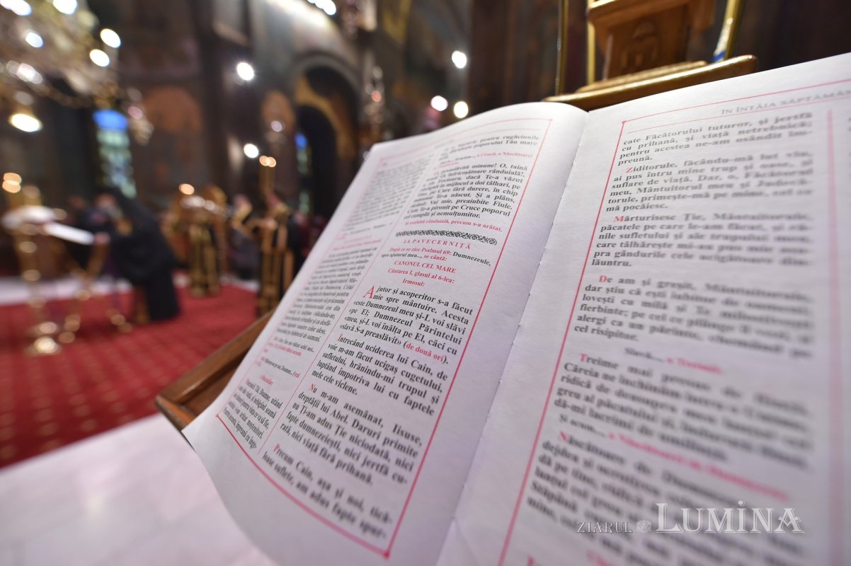 Postul este o perioadă de recunoaștere a stării noastre de păcătoșenie și instabilitate 166162