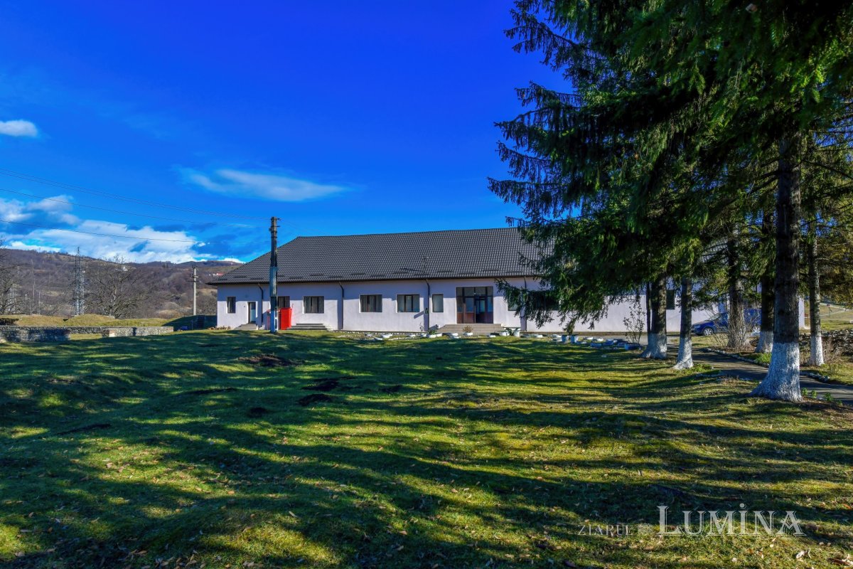 Pe urmele romanilor și ale dacilor liberi 167569