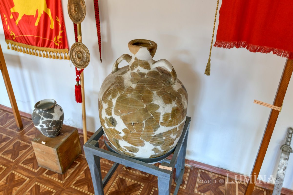 Pe urmele romanilor și ale dacilor liberi 167577