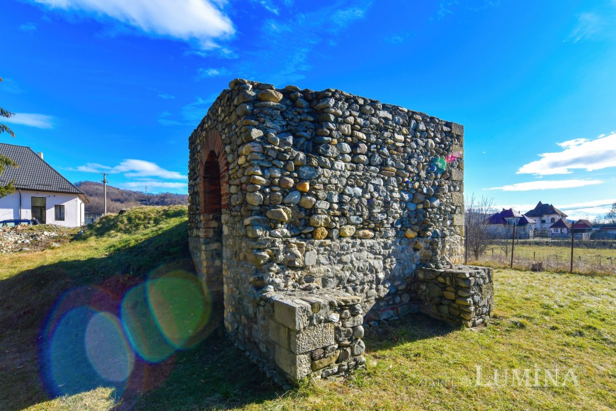 Pe urmele romanilor și ale dacilor liberi 167584