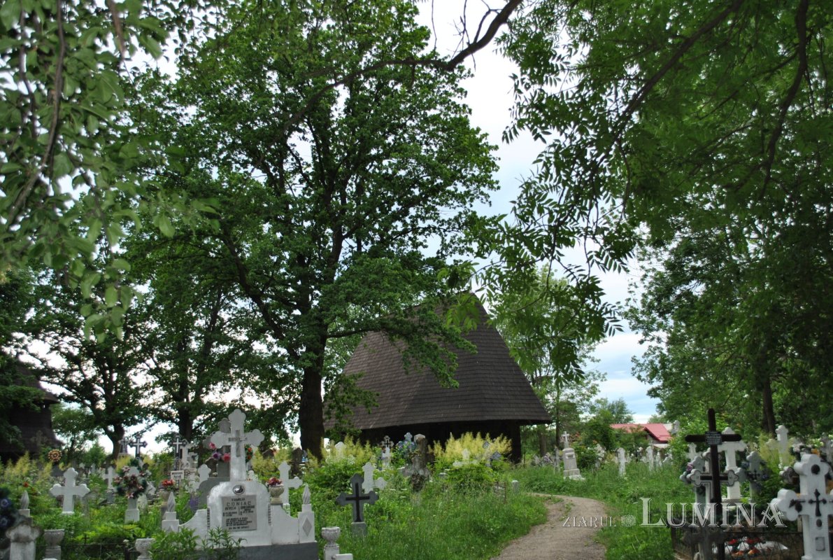 Preotul cărturar Iraclie Porumbescu, reper în istoria Bucovinei 167615