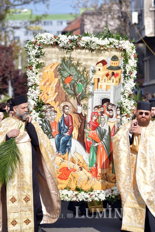  Binecuvântarea ramurilor de salcie şi finic pe Colina Bucuriei  168999