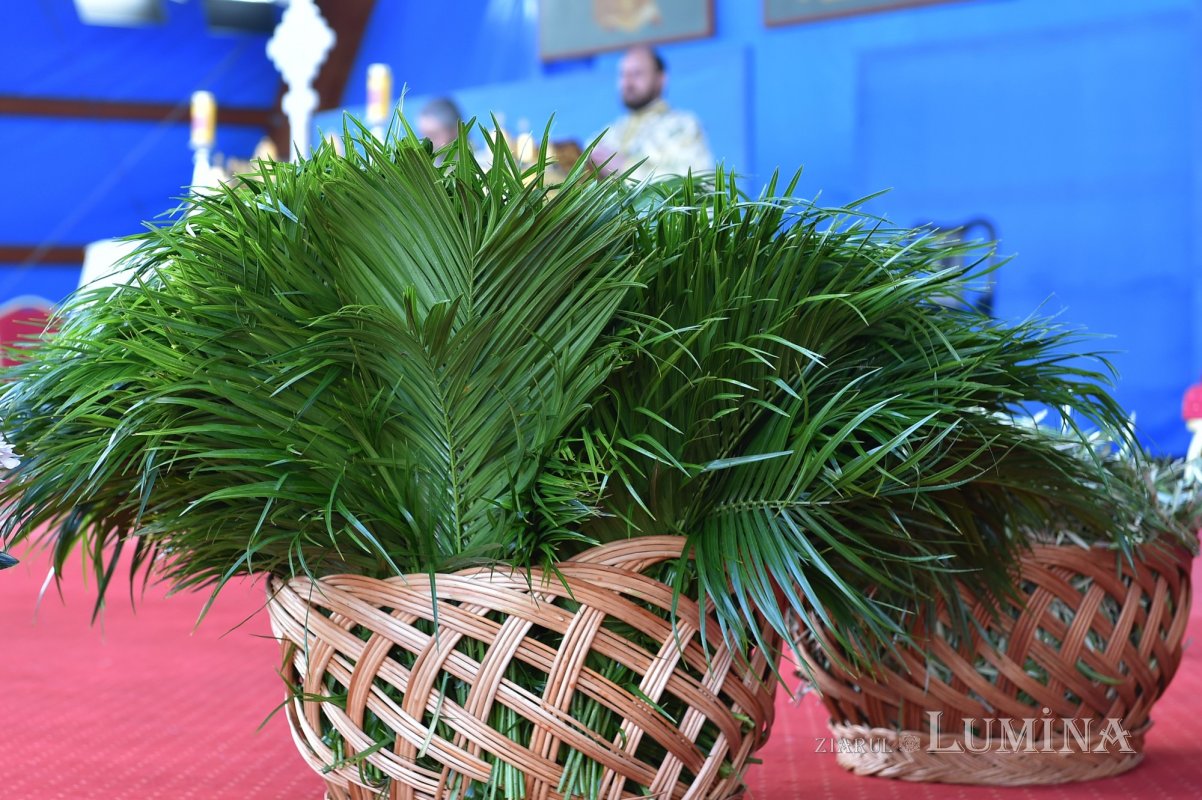 Duminica Stâlpărilor la Catedrala Patriarhală 169134