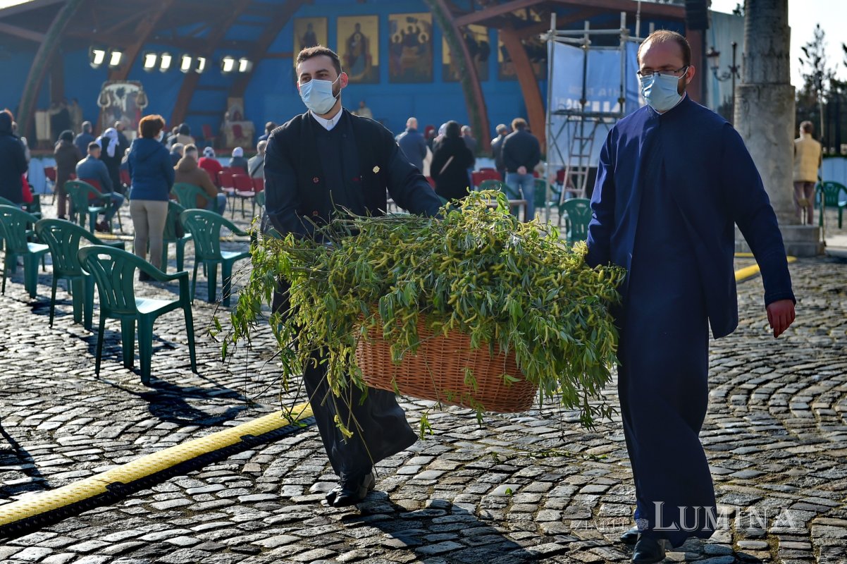 Duminica Stâlpărilor la Catedrala Patriarhală 169140