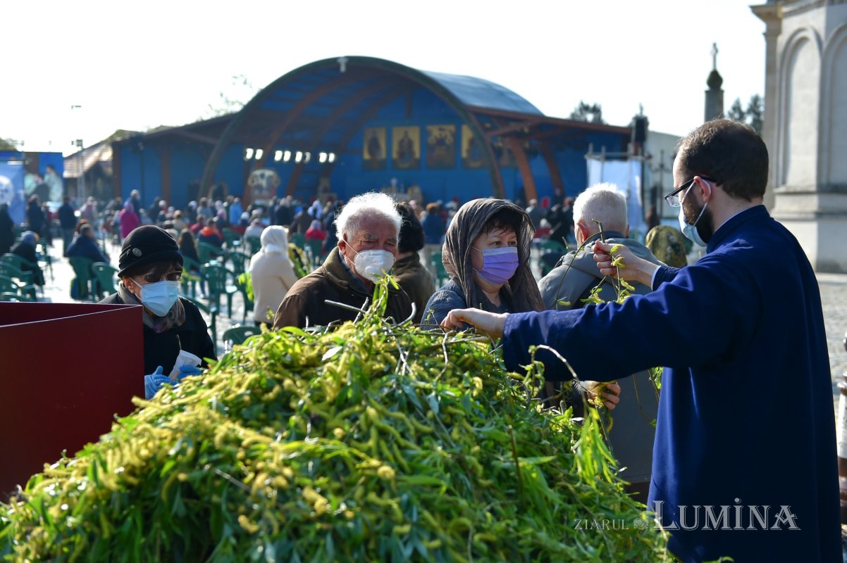 Duminica Stâlpărilor la Catedrala Patriarhală 169142