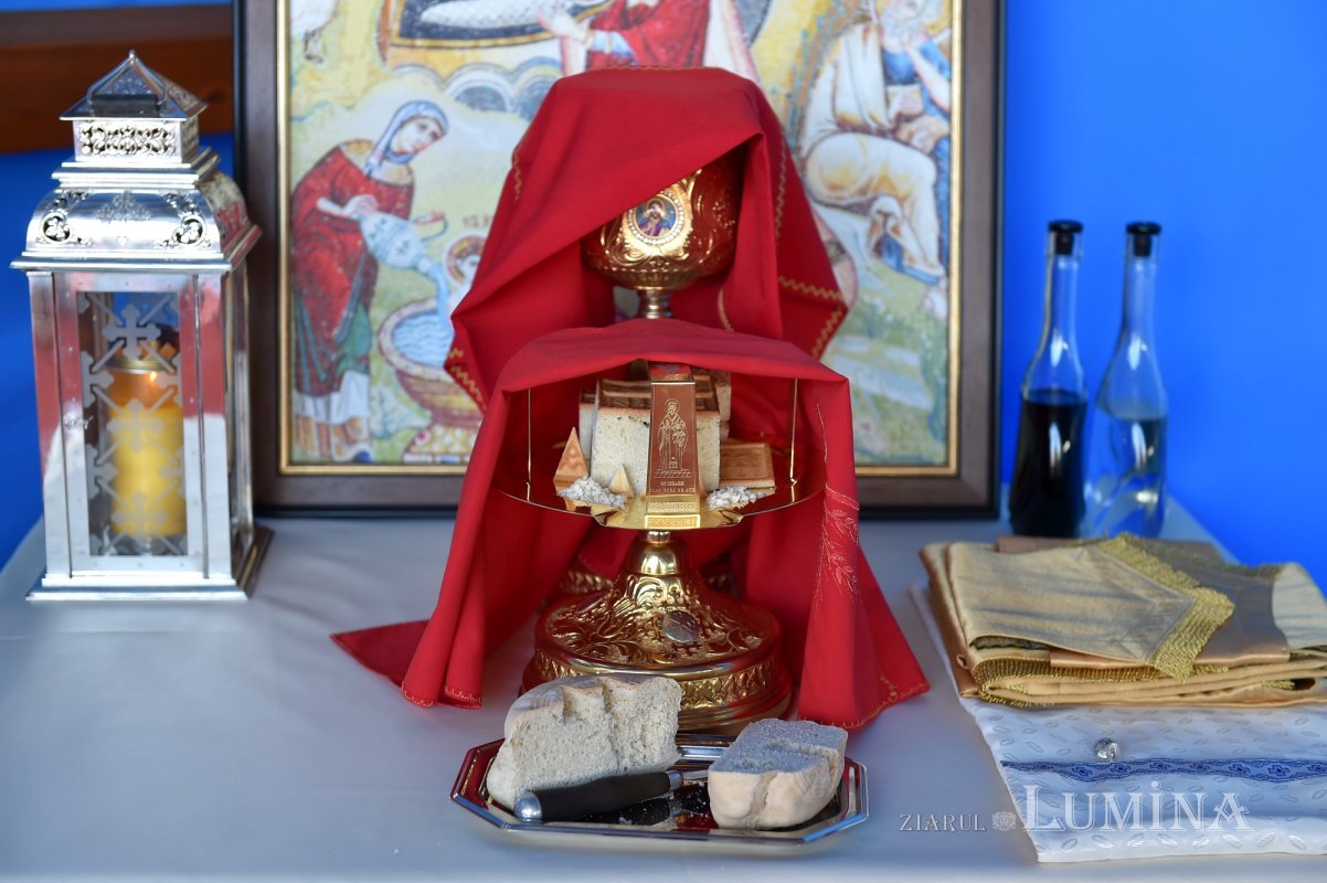 Duminica Stâlpărilor la Catedrala Patriarhală 169148