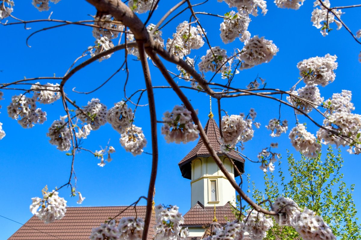 Zi de hram la Paraclisul Catedralei Naționale 170032