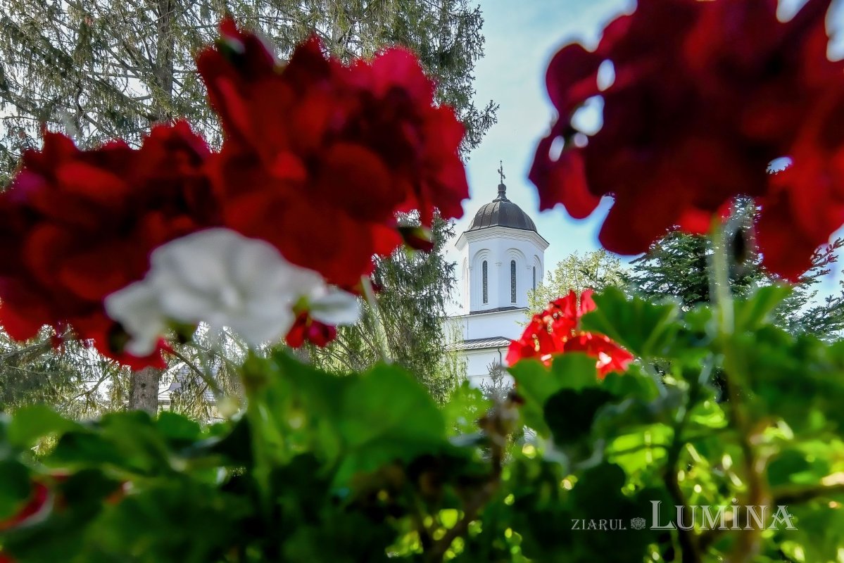 Binecuvântarea Izvorului Tămăduirii la mănăstirea prahoveană Ghighiu 170504
