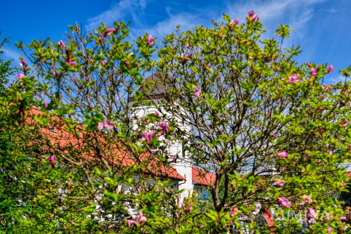 Binecuvântarea Izvorului Tămăduirii la mănăstirea prahoveană Ghighiu 170521