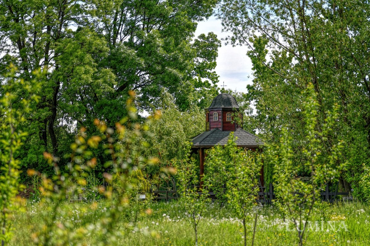 Binecuvântarea Izvorului Tămăduirii la mănăstirea prahoveană Ghighiu 170528