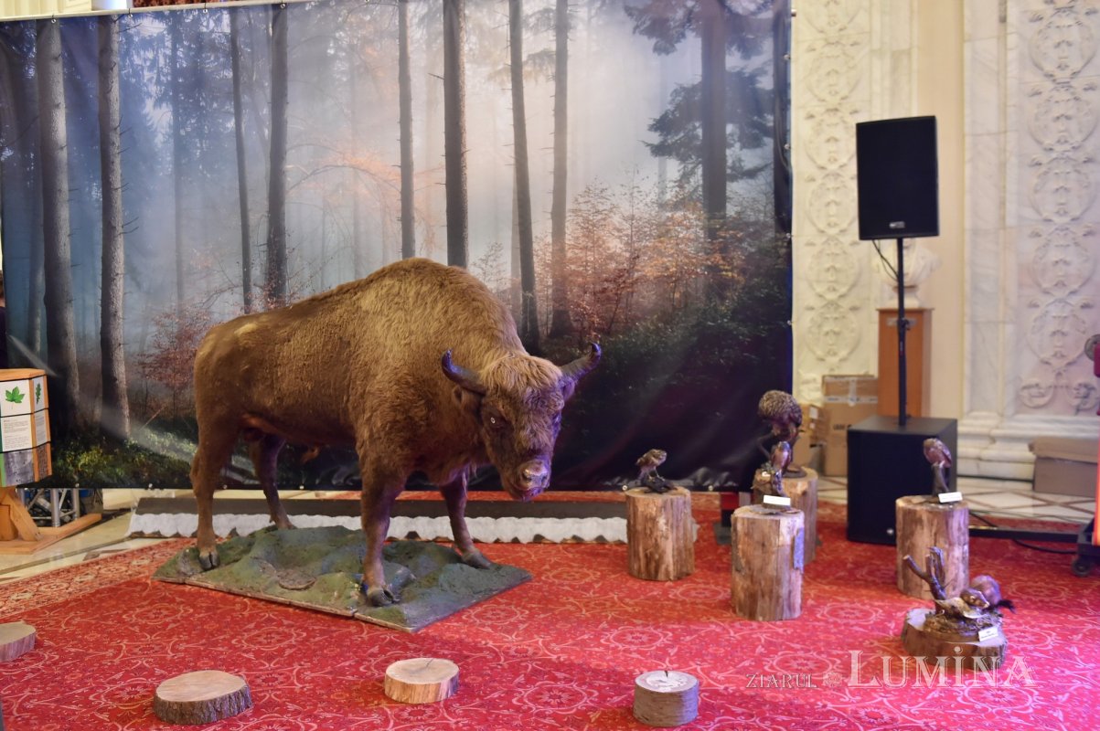 „Peisajul cultural-monahal Vânători-Neamț”, expoziţie  la Palatul Parlamentului 170793