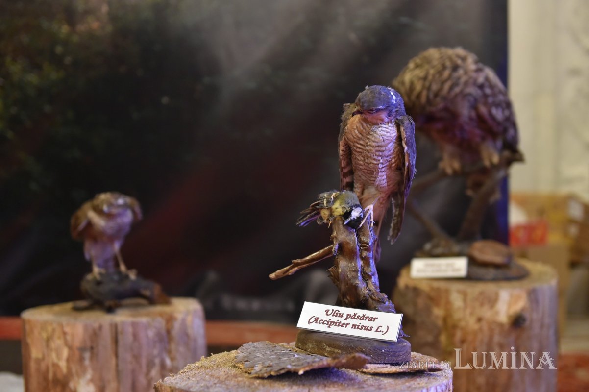 „Peisajul cultural-monahal Vânători-Neamț”, expoziţie  la Palatul Parlamentului 170794