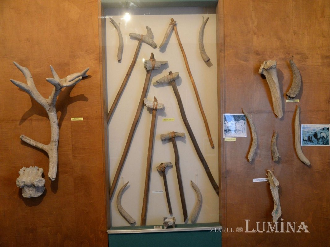 Omul sfinţeşte locul. Mihaela Lală şi complexul muzeal de la Drăgănești-Olt 170894