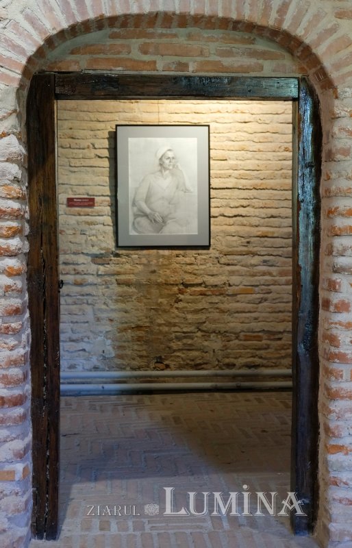 „Gânduri și studii”, expoziţie semnată Maria-Ilinca Țoța 171974