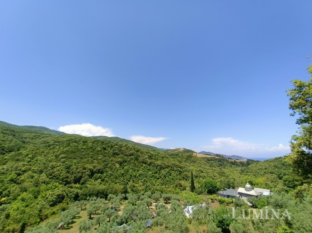 Cuviosul Dometie Trihenea, 112 ani de la naștere 173544