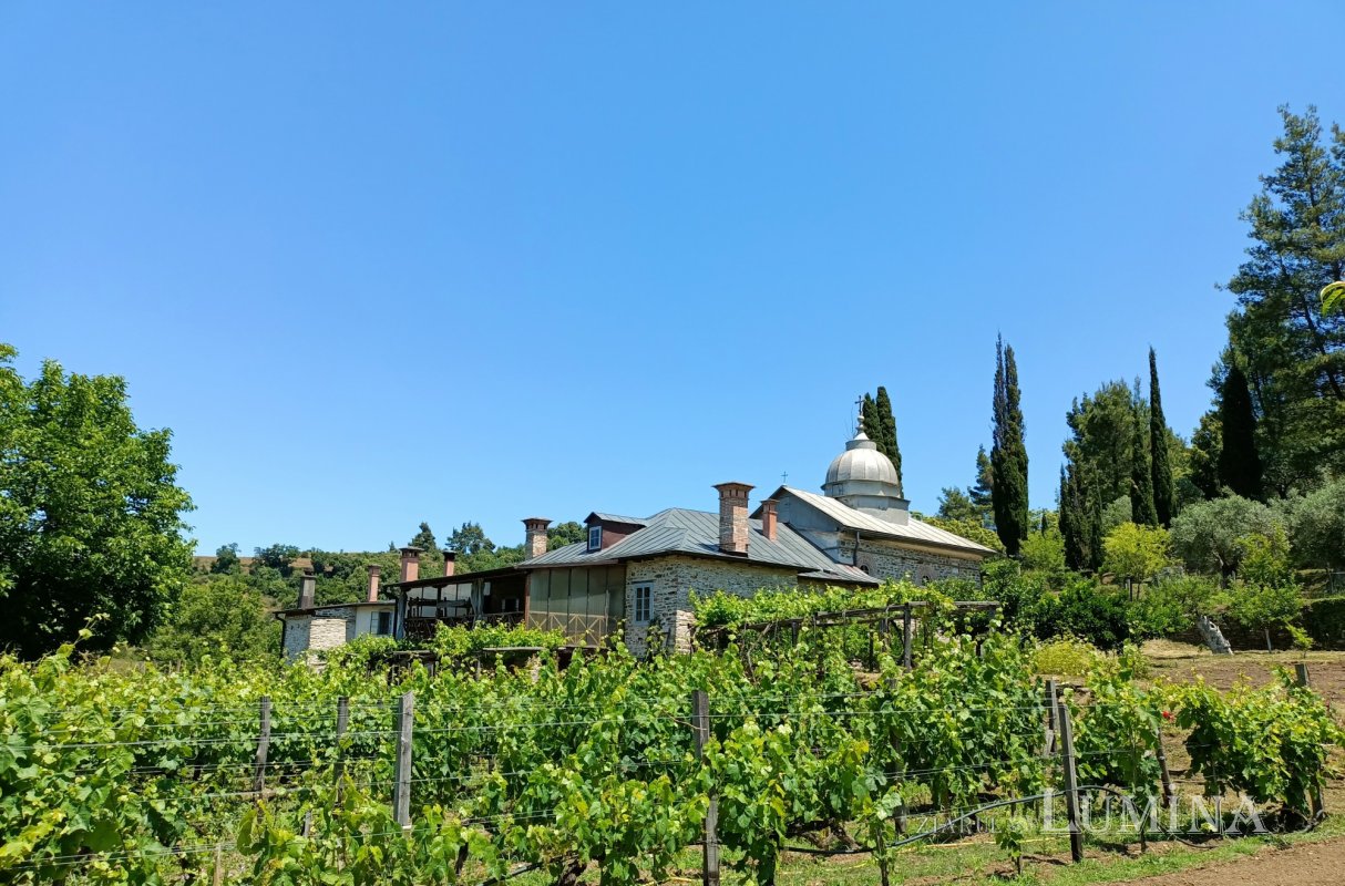 Cuviosul Dometie Trihenea, 112 ani de la naștere 173545