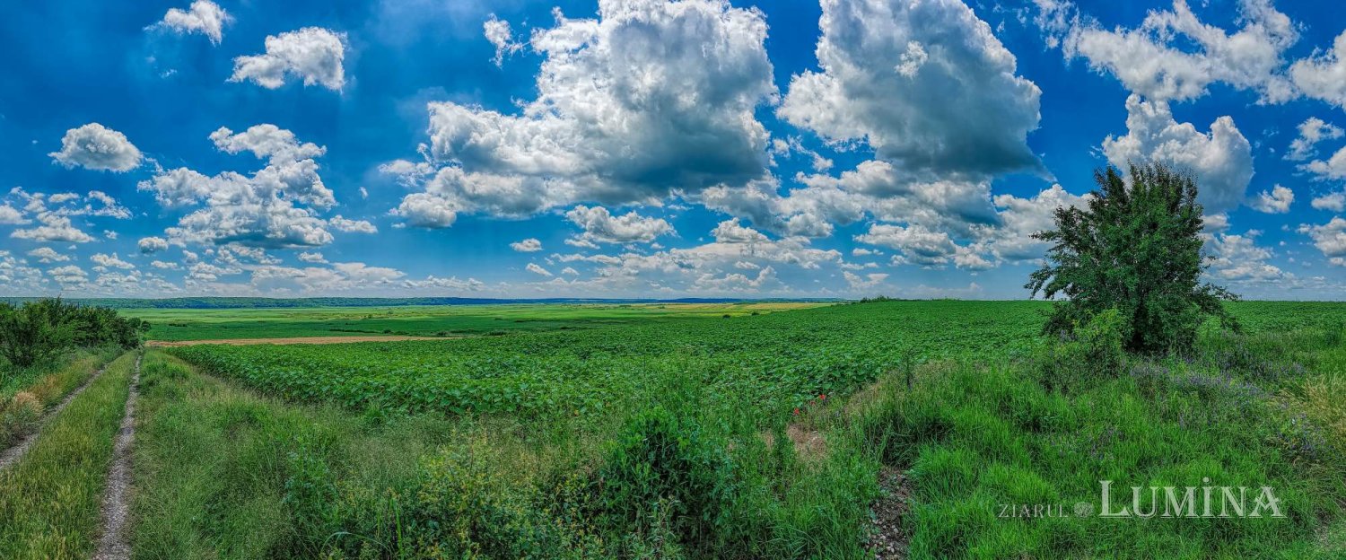 Locul unde istoria stă să vină 175361