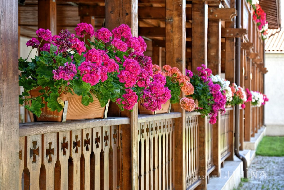 Istoria tumultuoasă a Mănăstirii Comana 176525