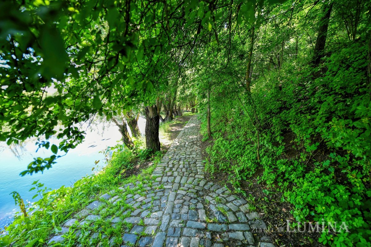 Istoria tumultuoasă a Mănăstirii Comana 176538