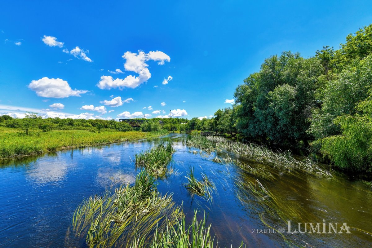 Istoria tumultuoasă a Mănăstirii Comana 176565