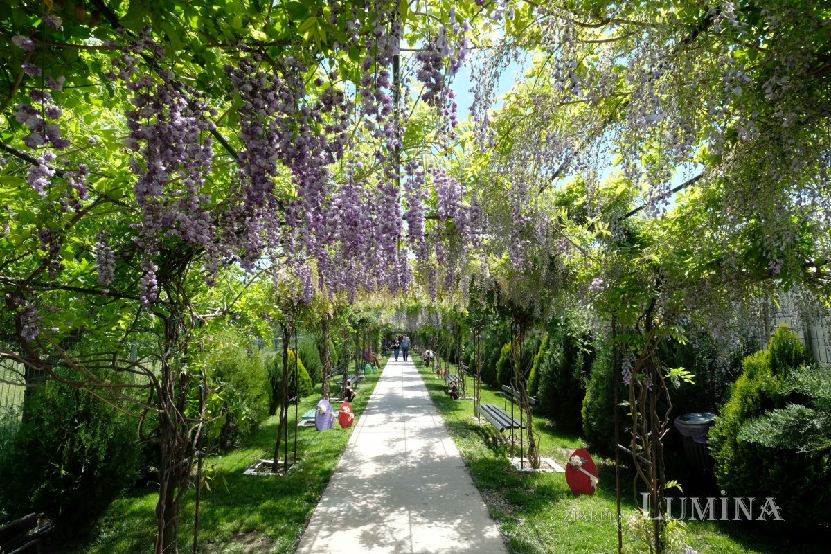 Icoana făcătoare de minuni a Maicii Domnului de la Mănăstirea Ghighiu 177103