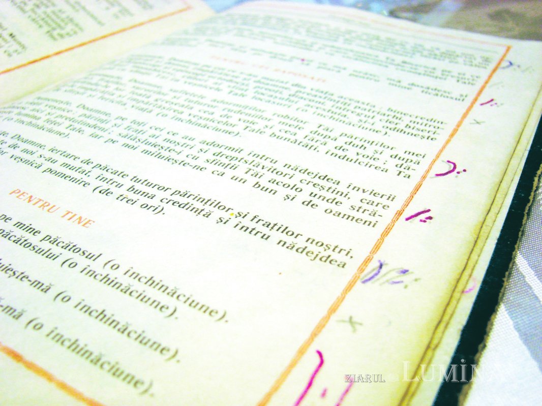 7 trepte din viața Preafericitului Părinte Patriarh Daniel al României 177817