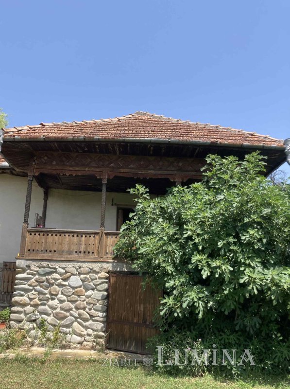 Bucuria unei înfrângeri 179270