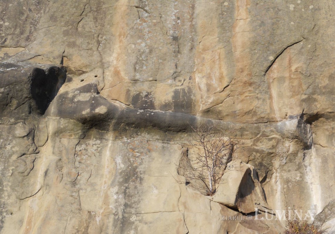 Curtea mamei Uța, unde retrăiești revelația veșniciei 184985