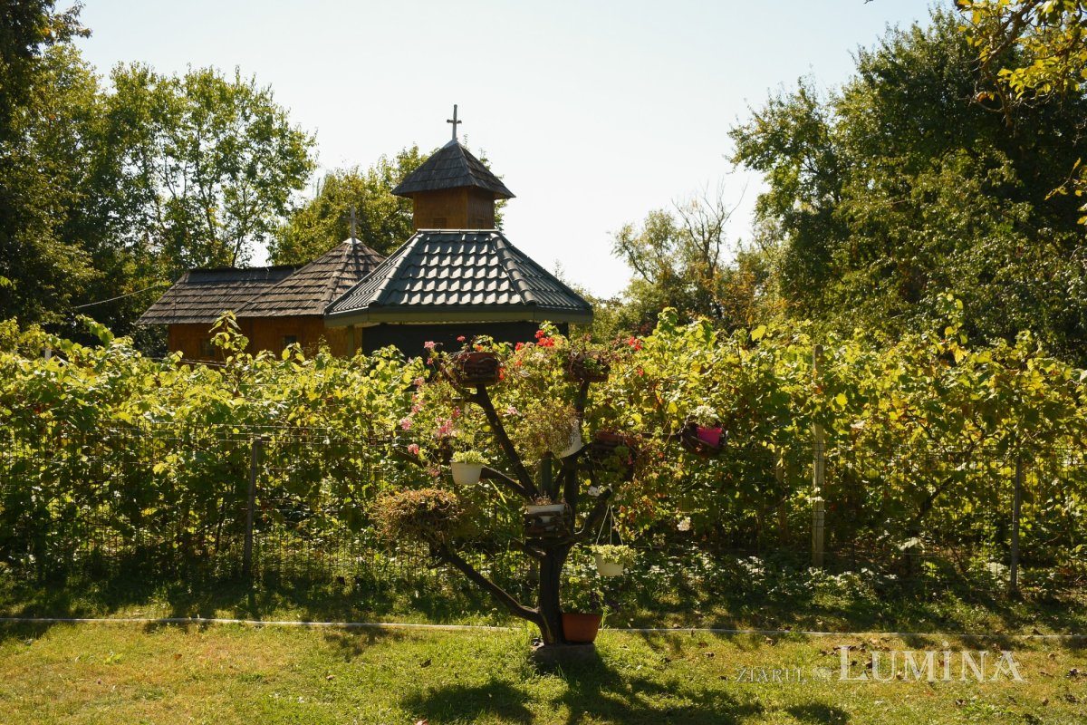 Patriarhul României la hramul mănăstirii ilfovene Snagov 185579