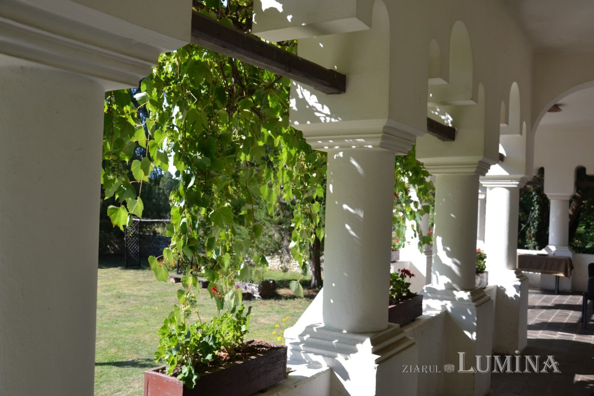 Satul culelor oltenești 191104