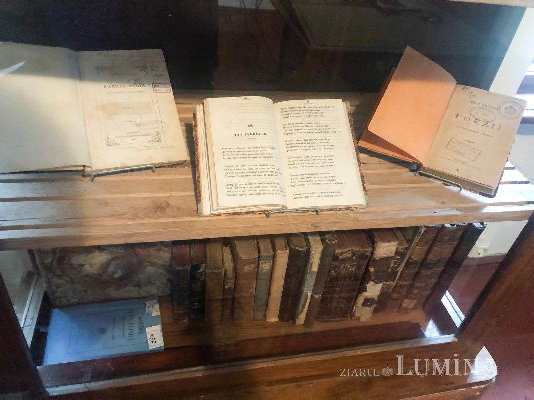 Zilele şaguniene 2021: prezentarea Proiectului „Muzeul Bisericii «Sfântul Nicolae» din Braşov- un model sustenabil de protejare a patrimoniului” 193530