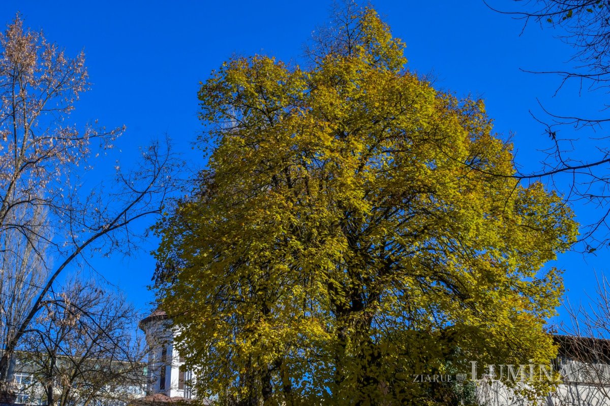O nouă raclă pentru moaştele Sfintei Ecaterina la o parohie bucureşteană 193889