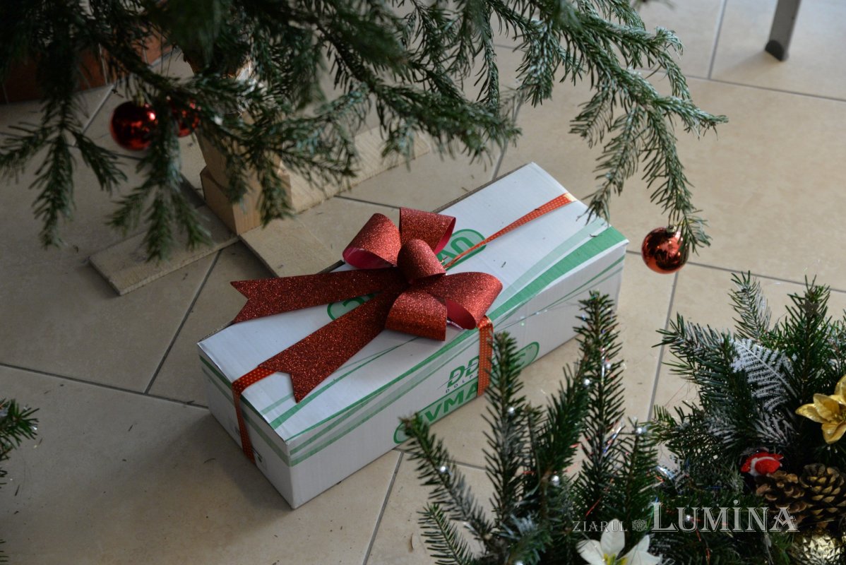 Daruri oferite beneficiarilor Centrului „Sfântul Nectarie” din București 197080