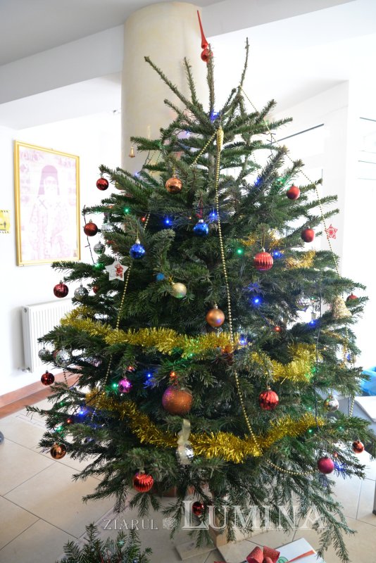 Daruri oferite beneficiarilor Centrului „Sfântul Nectarie” din București 197081